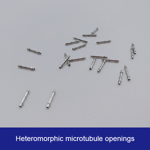 Heteromorphic microtubule openings