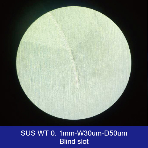 SUS WT 0.1mm W30um D50um Blind Slot